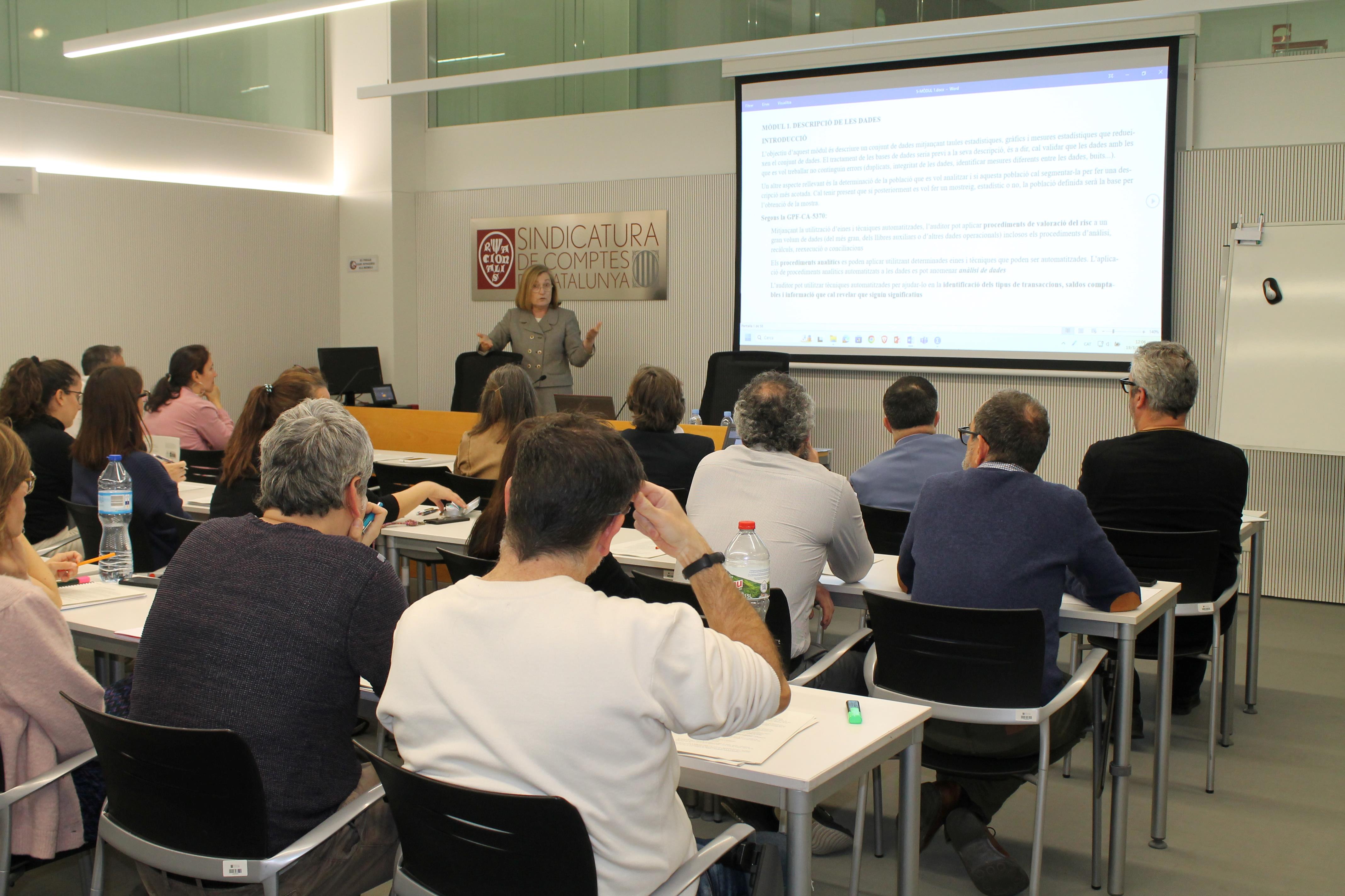 La síndica Maria Àngels Cabasés, impartint una formació sobre anàlisi de dades.
