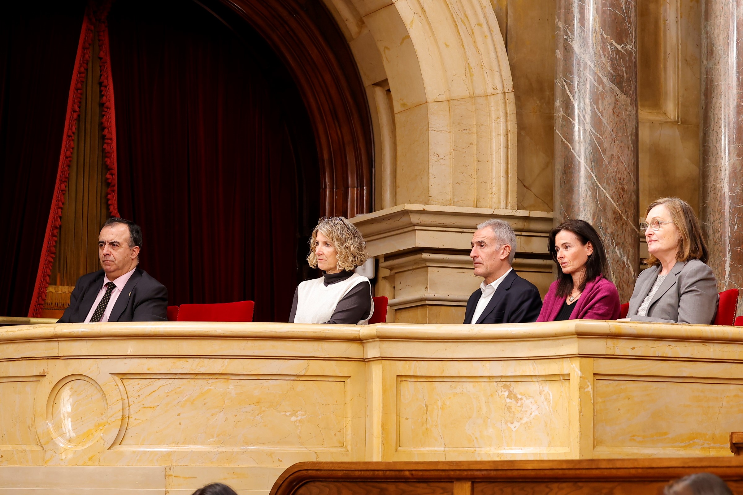 Els membres del Ple, seguint les intervencions des de la llotja de convidats.