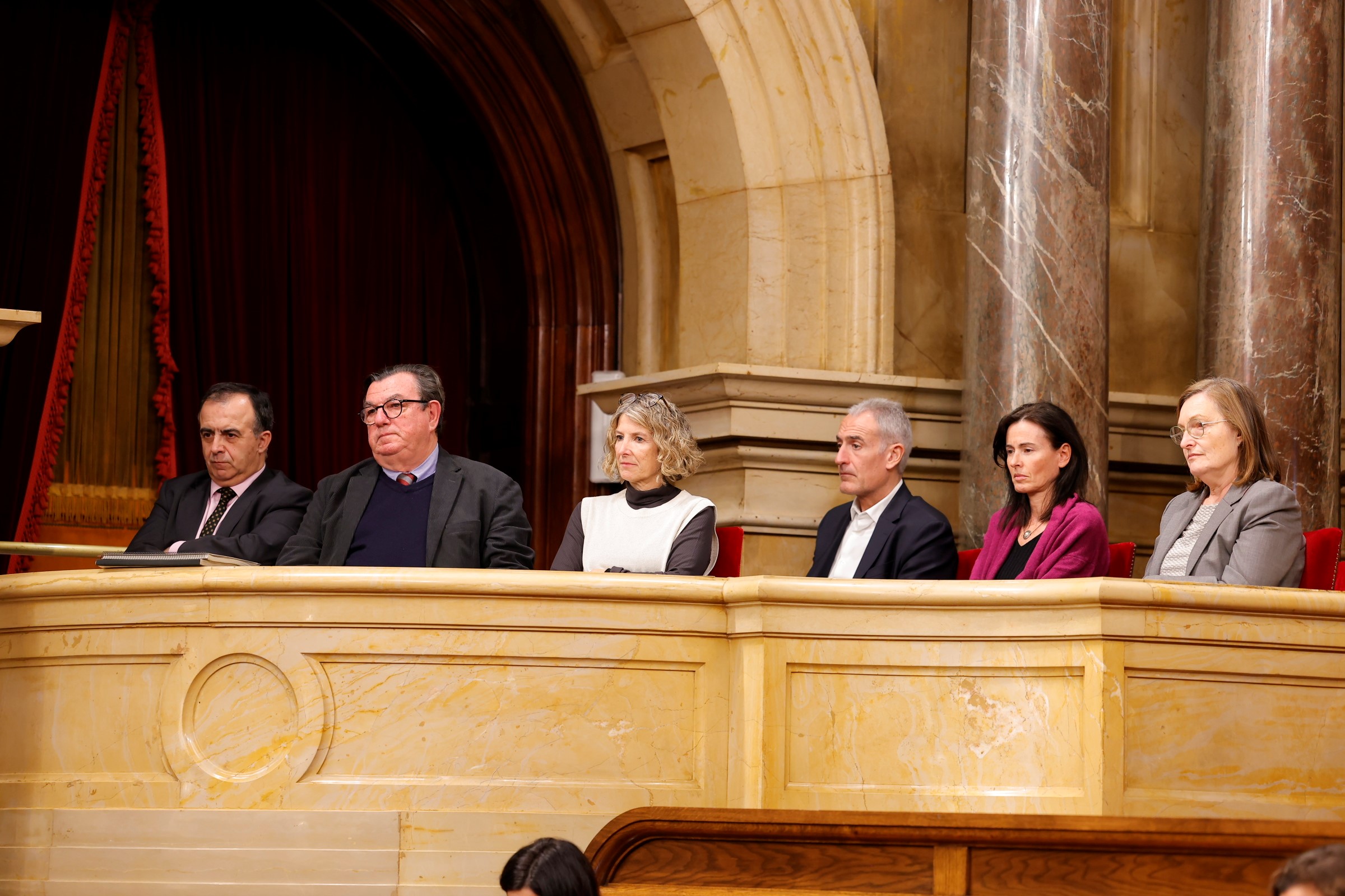 El síndic major, en primera fila, i els membres del Ple, a la llotja del Parlament.