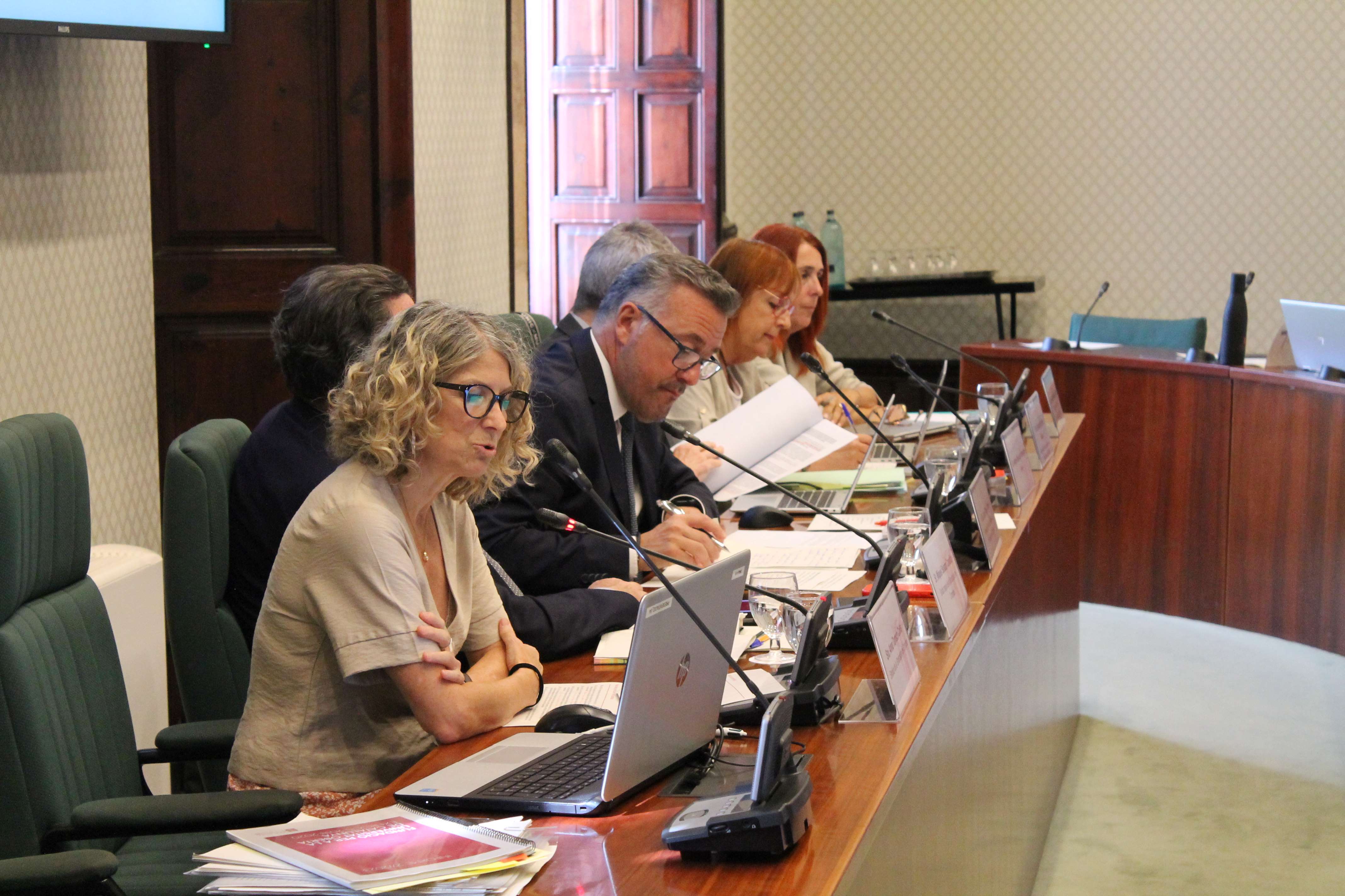 La síndica Anna Tarrach, presentant un informe davant la Comissió.