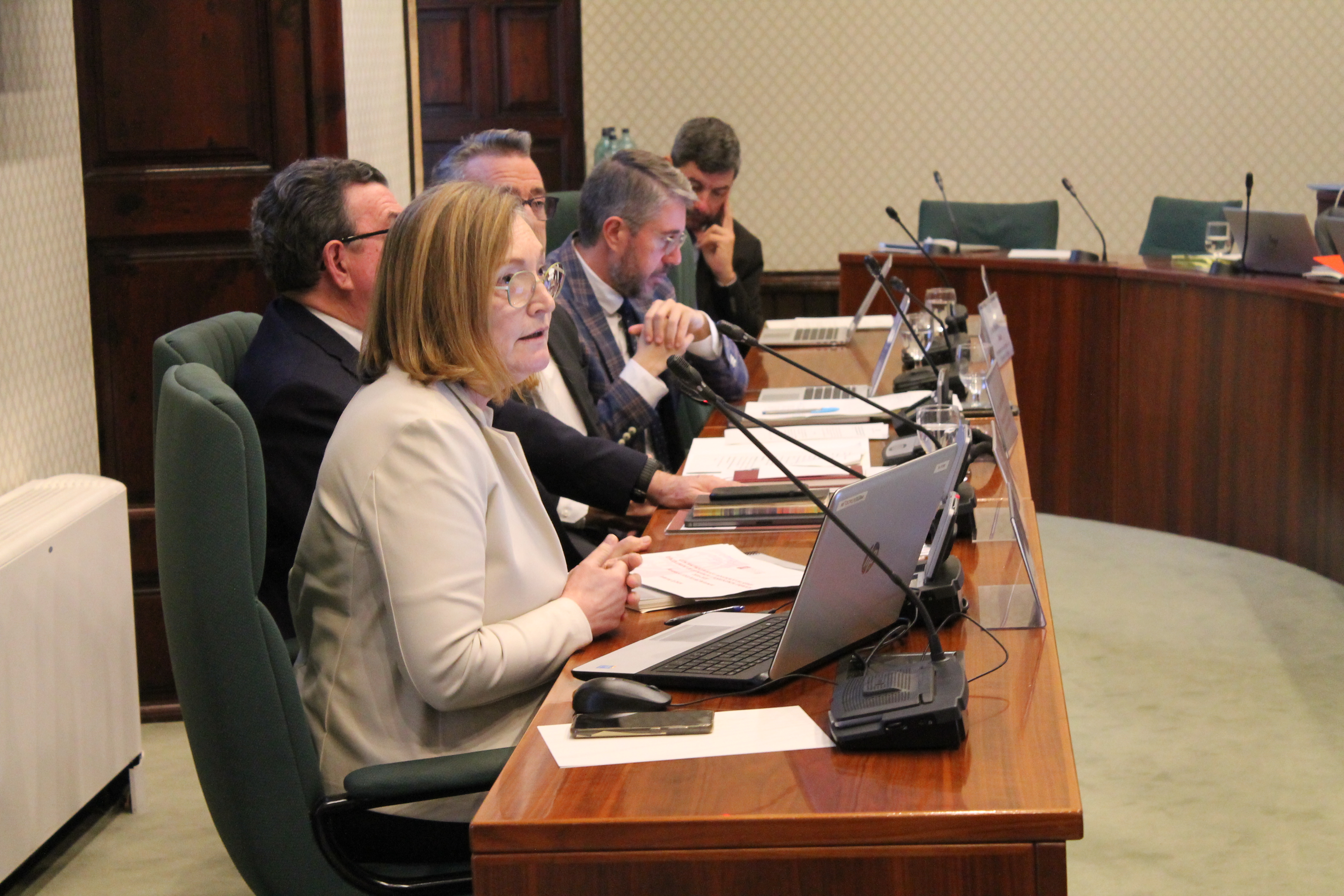 La síndica Maria Àngels Cabasés, a la Comissió de la Sindicatura de Comptes del Parlament.