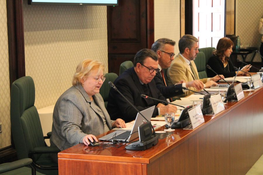 La síndica Llum Rodríguez, a la Comissió del Parlament.