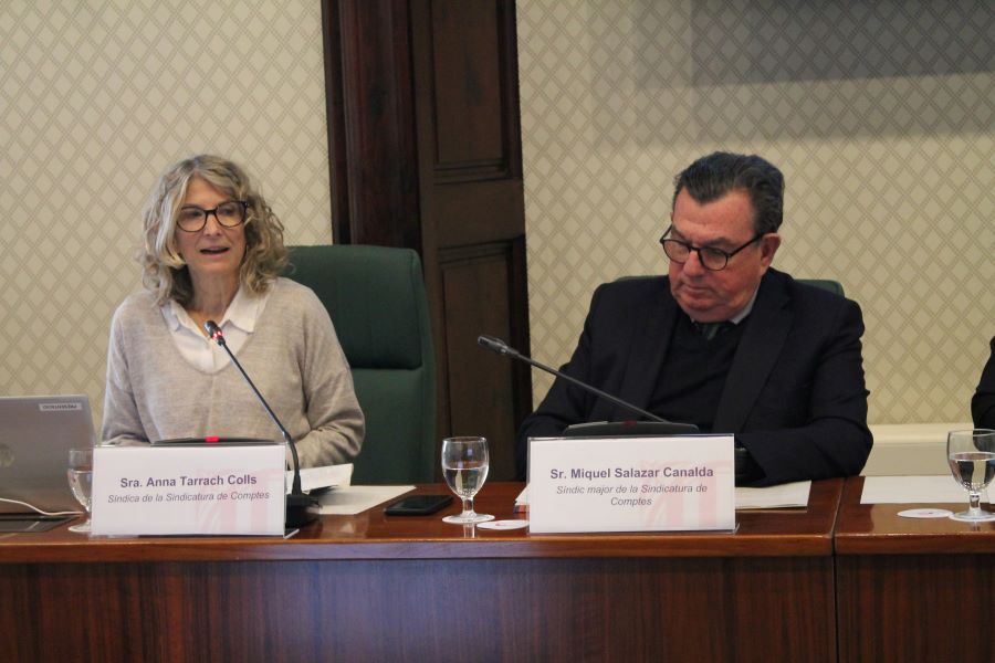 La síndica Anna Tarrach, durant la seva intervenció davant la Comissió.