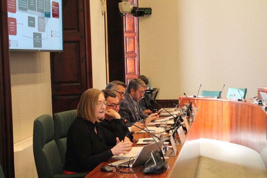 La síndica Maria Àngels Cabasés, presentant l'informe sobre l'Hospital Arnau de Vilanova de Lleida.