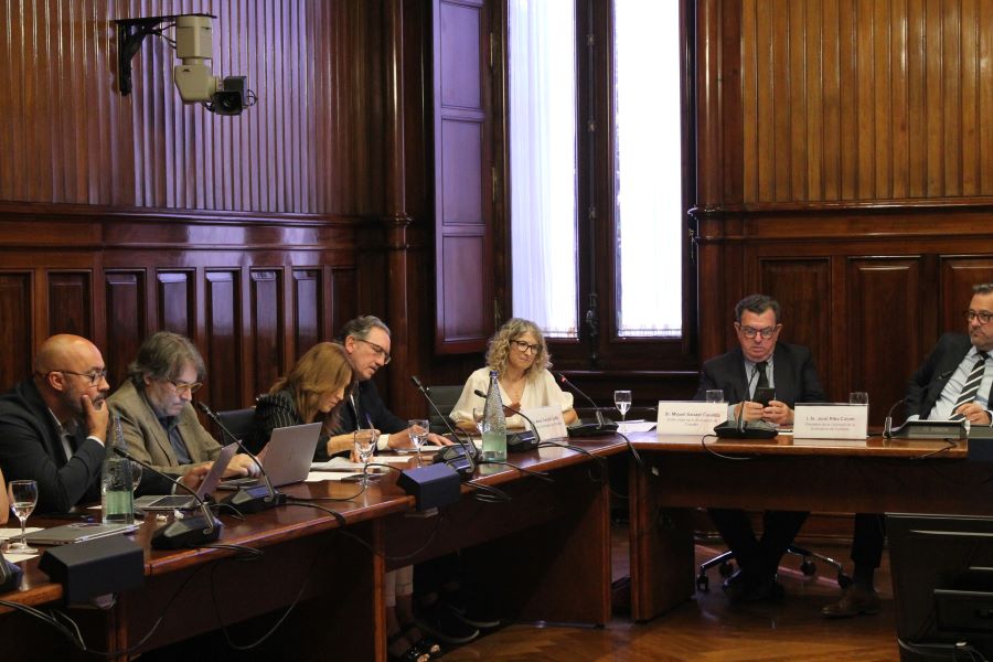 La síndica Anna Tarrach, durant la seva intervenció a la Comissió de la Sindicatura.