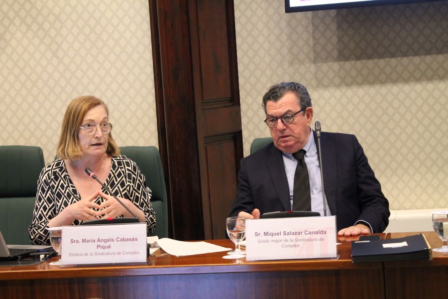 La síndica, presentat l'informe davant la Comissió.