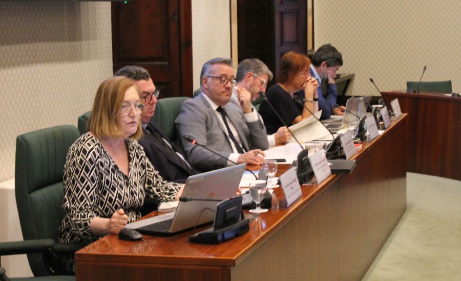 La síndica Maria Àngels Cabasés, durant la seva intervenció a la Comissió.