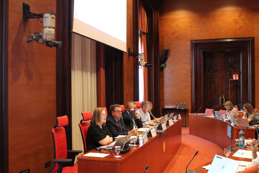 La síndica Maria Àngels Cabasés, a la Comissió de la Sindicatura de Comptes.