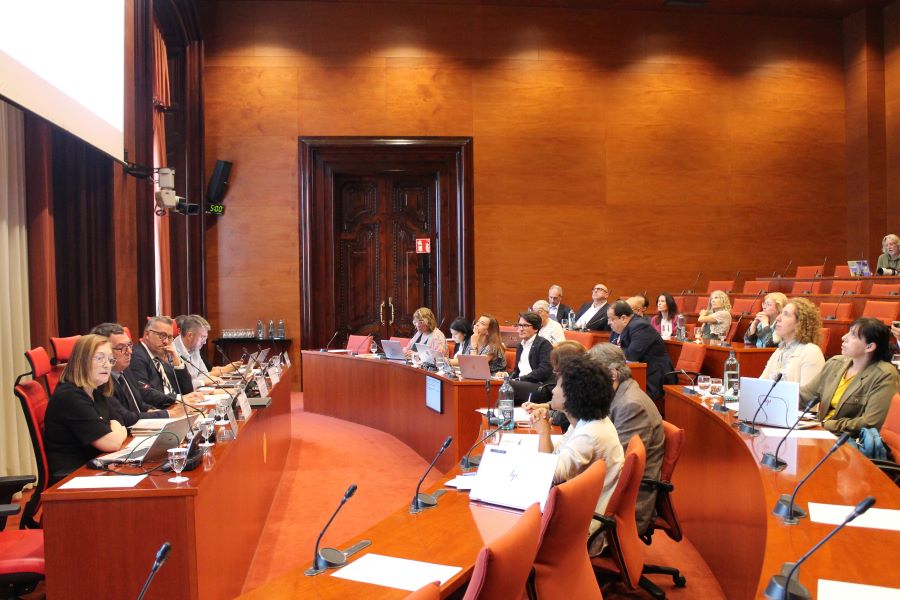 Imatge de la Comissió de la Sindicatura de Comptes.