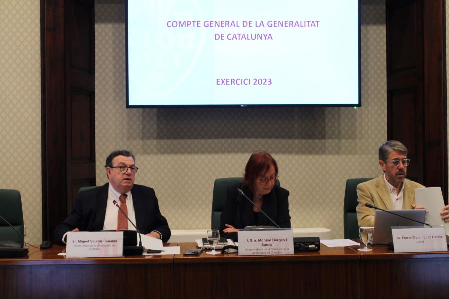 El síndic major, Miquel Salazar, durant la seva intervenció a la Comissió de la Sindicatura del Parlament.