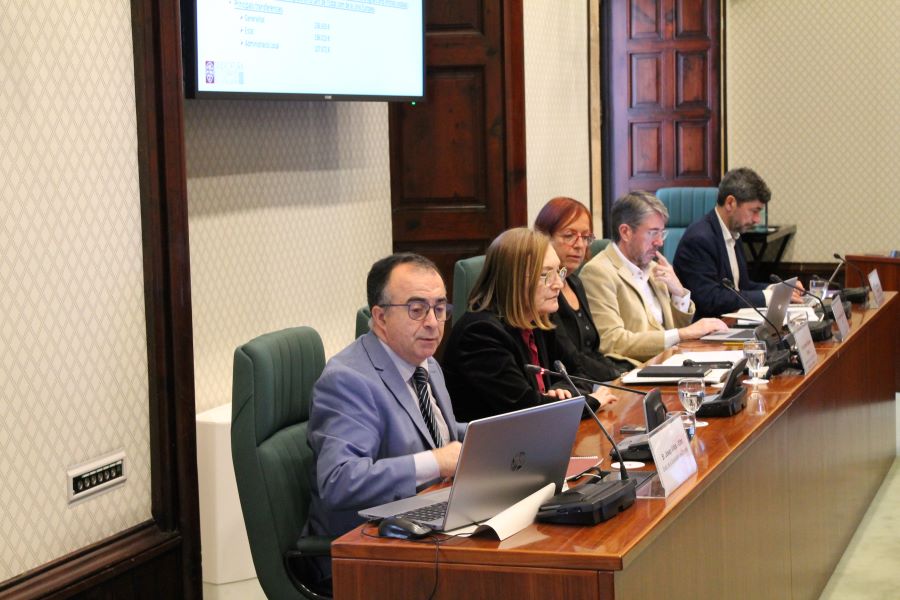 El sindic Josep Viñas, durant la seva intervenció davant la Comissió del Parlament.