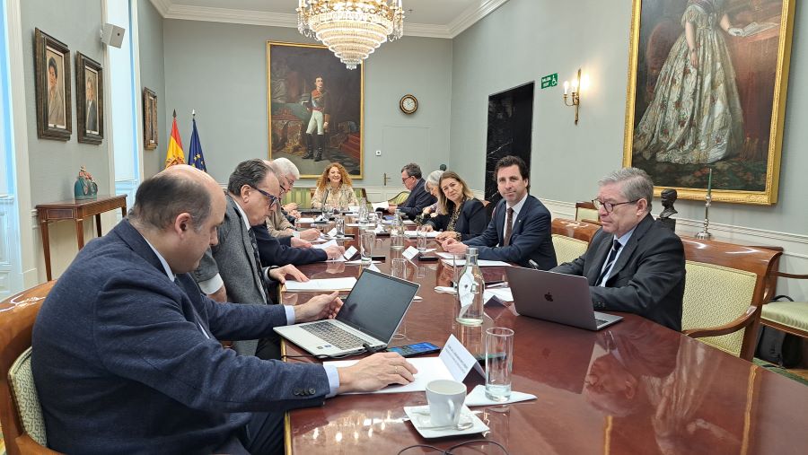 Assistents a la Comissió de coordinació TCu-OCEX sobre Administració electrònica.