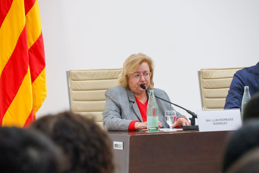 La síndica Llum Rodríguez, durant la seva intervenció.