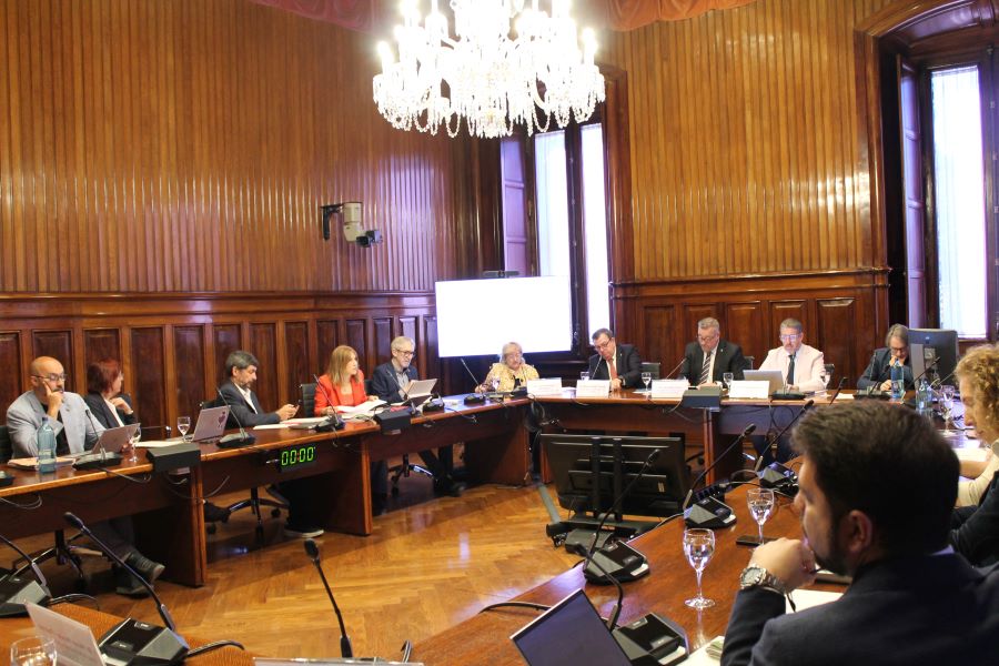La síndica Llum Rodríguez, durant la seva intervenció a la Comissió de la Sindicatura de Comptes.