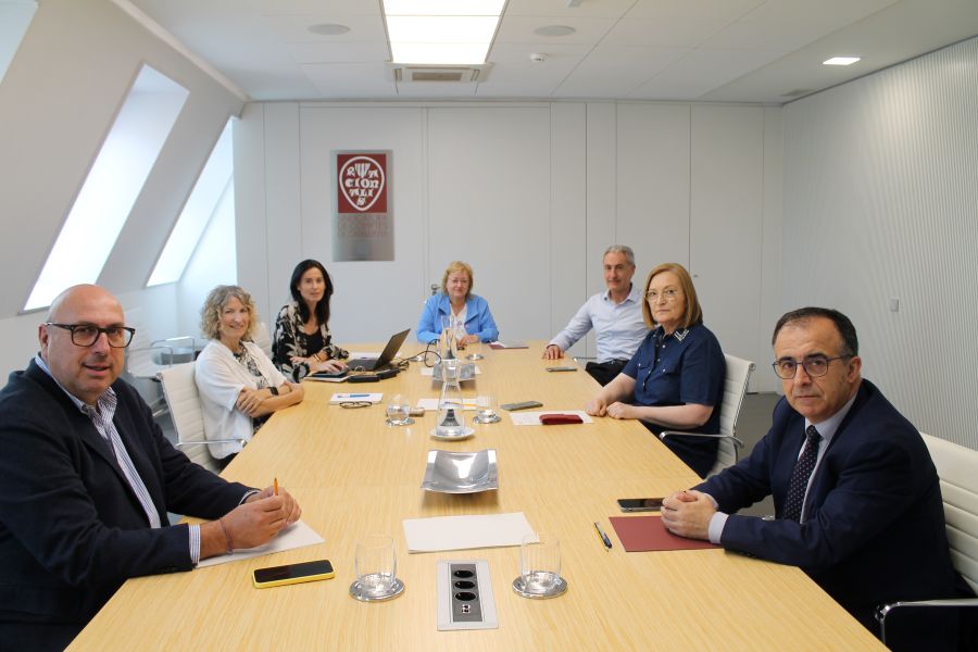 Llum Rodríguez, presidint el Ple de la Sindicatura de Comptes.