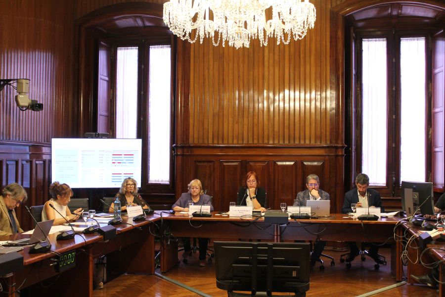 La síndica Anna Tarrach, presentant l'informe sobre les subvencions de Cultura.