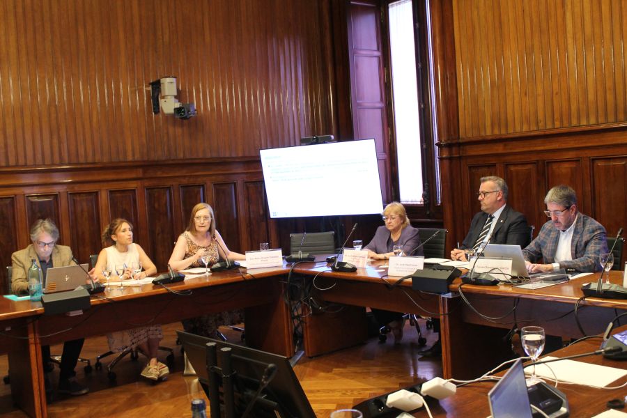Maria Àngels Cabasés, durant la seva exposició davant la Comissió.